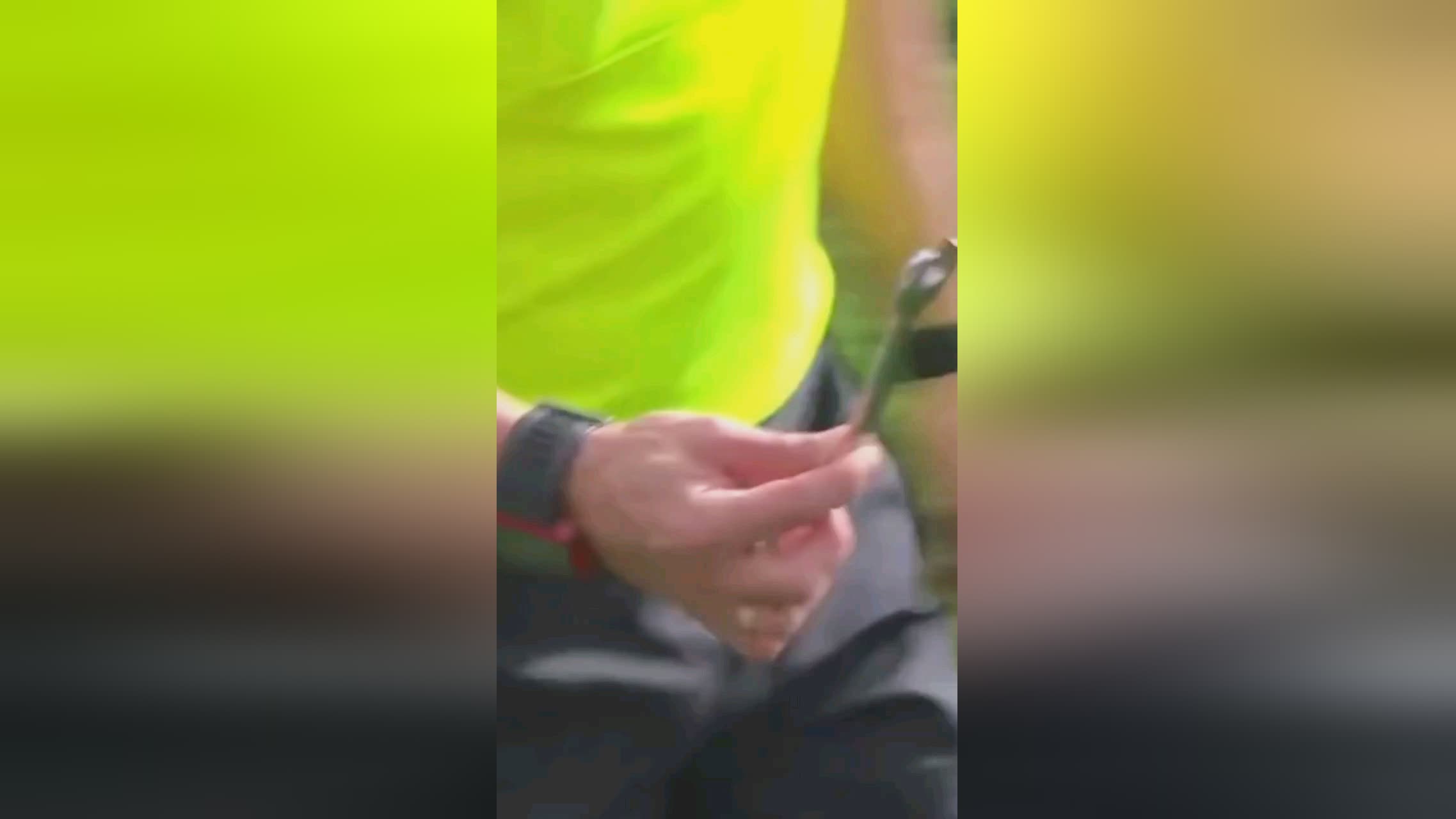 称豪华他们